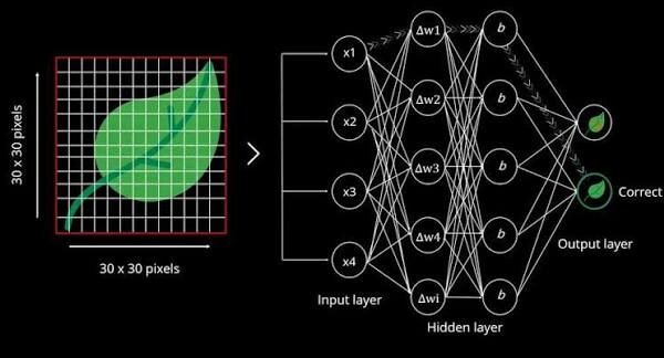 Neural Networks