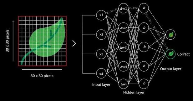Neural Networks